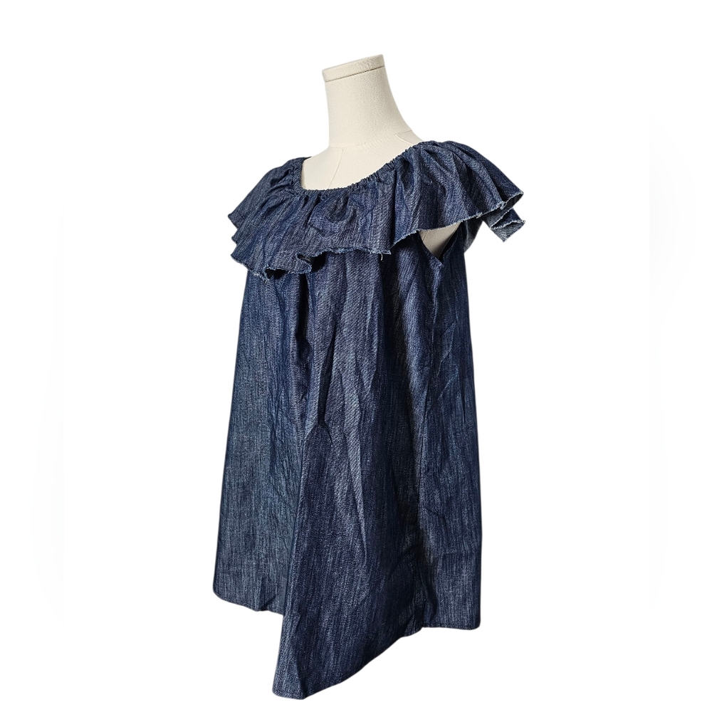 NWT San Joy Jean Dress